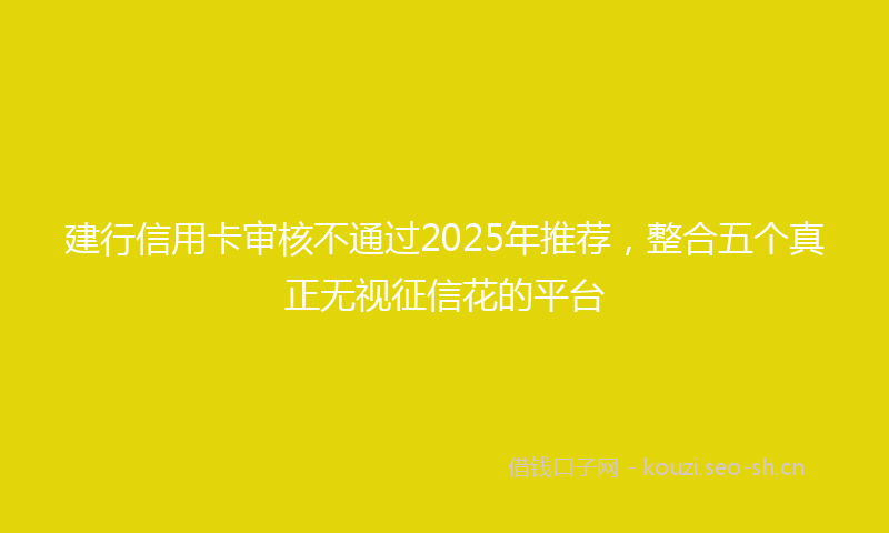 建行信用卡审核不通过2025年推荐，整合五个真正无视征信花的平台