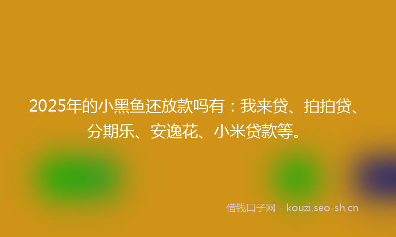 2025年的小黑鱼还放款吗有:我来贷、拍拍贷、分期乐、安逸花、小米贷款等。