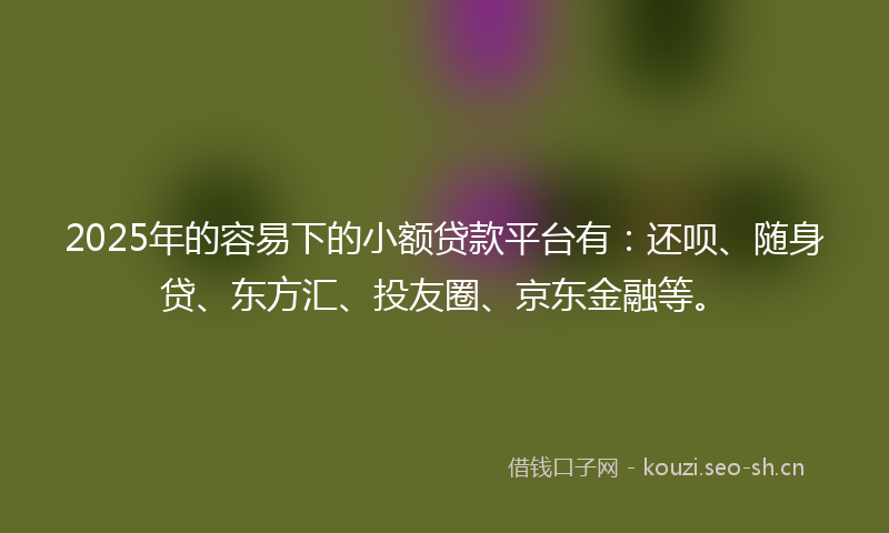 2025年的容易下的小额贷款平台有：还呗、随身贷、东方汇、投友圈、京东金融等。