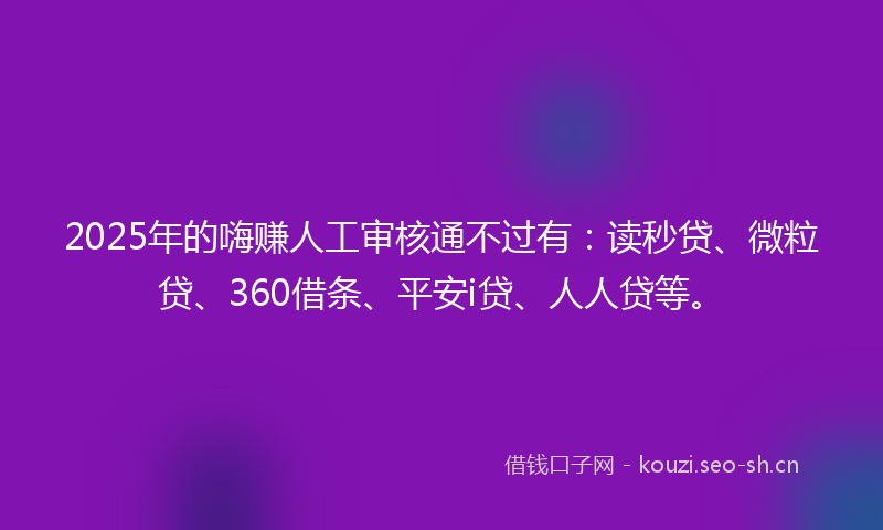 2025年的嗨赚人工审核通不过有：读秒贷、微粒贷、360借条、平安i贷、人人贷等。