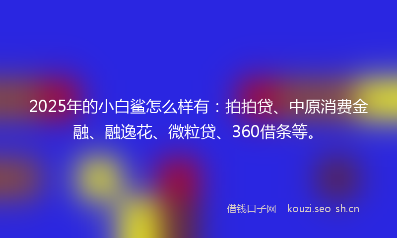 2025年的小白鲨怎么样有：拍拍贷、中原消费金融、融逸花、微粒贷、360借条等。