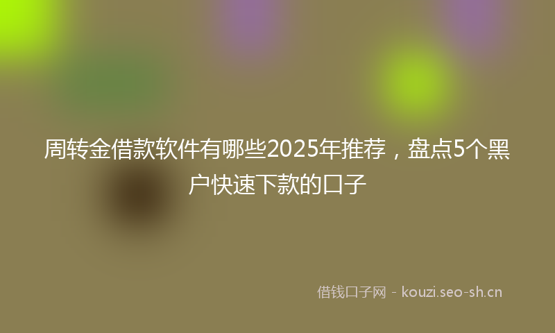 周转金借款软件有哪些2025年推荐，盘点5个黑户快速下款的口子