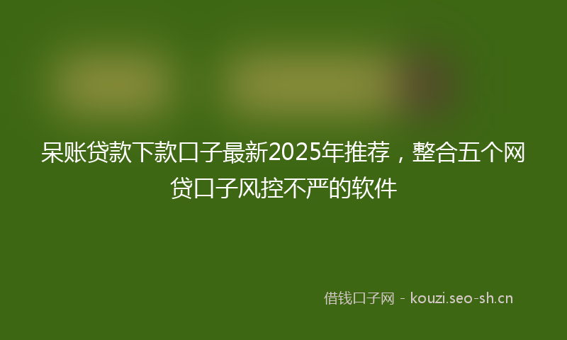 呆账贷款下款口子最新2025年推荐，整合五个网贷口子风控不严的软件