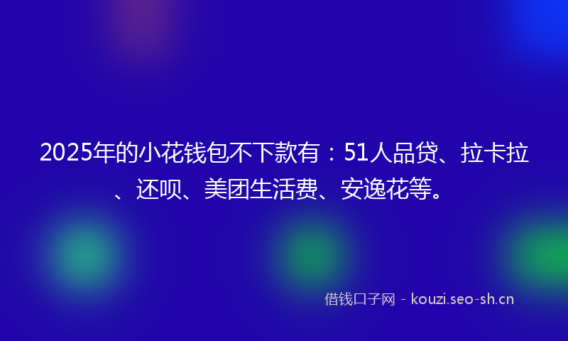 2025年的小花钱包不下款有：51人品贷、拉卡拉、还呗、美团生活费、安逸花等。