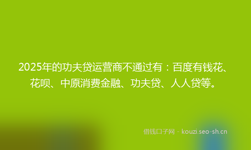 2025年的功夫贷运营商不通过有：百度有钱花、花呗、中原消费金融、功夫贷、人人贷等。