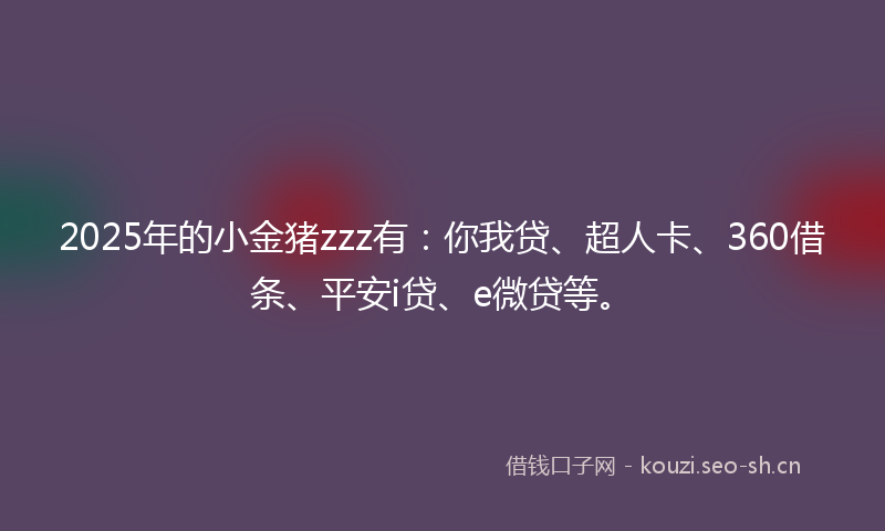 2025年的小金猪zzz有：你我贷、超人卡、360借条、平安i贷、e微贷等。