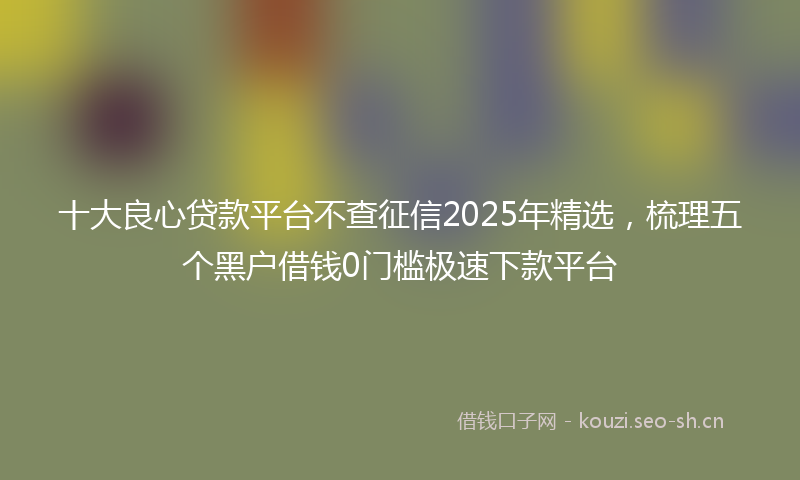 十大良心贷款平台不查征信2025年精选，梳理五个黑户借钱0门槛极速下款平台