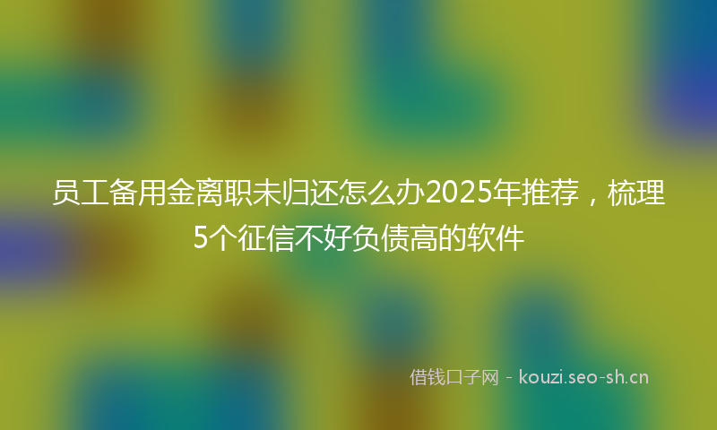 员工备用金离职未归还怎么办2025年推荐,梳理5个征信不好负债高的软件