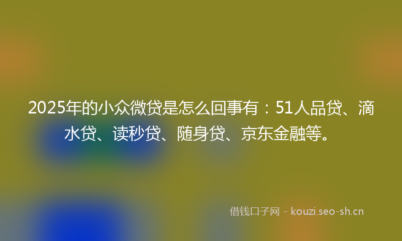 2025年的小众微贷是怎么回事有：51人品贷、滴水贷、读秒贷、随身贷、京东金融等。