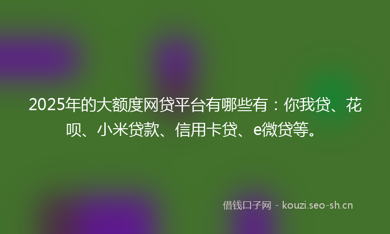 2025年的大额度网贷平台有哪些有：你我贷、花呗、小米贷款、信用卡贷、e微贷等。