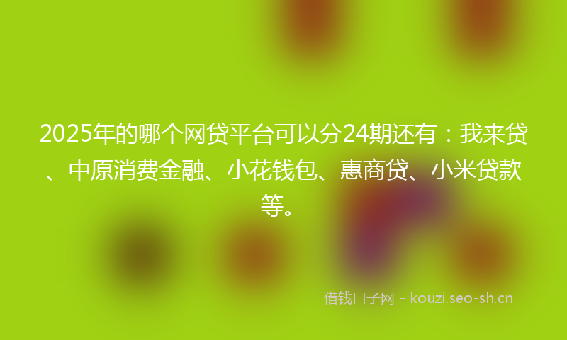 2025年的哪个网贷平台可以分24期还有：我来贷、中原消费金融、小花钱包、惠商贷、小米贷款等。