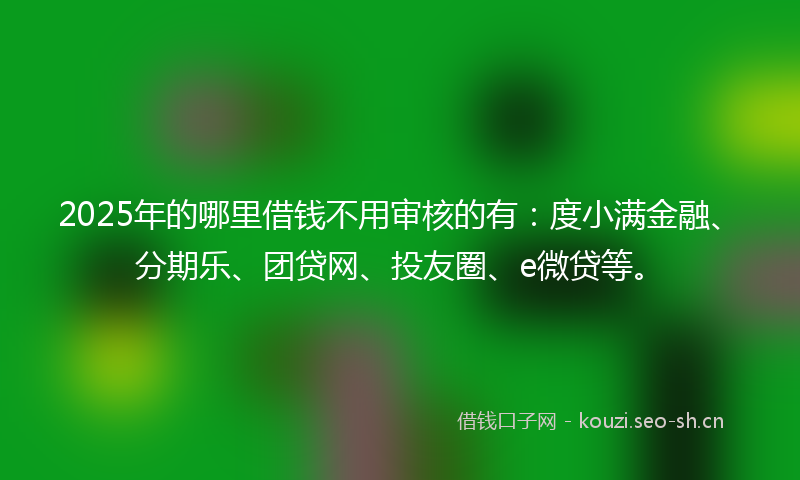 2025年的哪里借钱不用审核的有：度小满金融、分期乐、团贷网、投友圈、e微贷等。