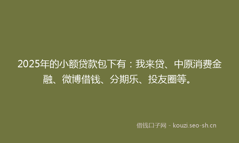 2025年的小额贷款包下有：我来贷、中原消费金融、微博借钱、分期乐、投友圈等。