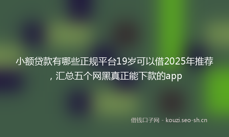 小额贷款有哪些正规平台19岁可以借2025年推荐，汇总五个网黑真正能下款的app