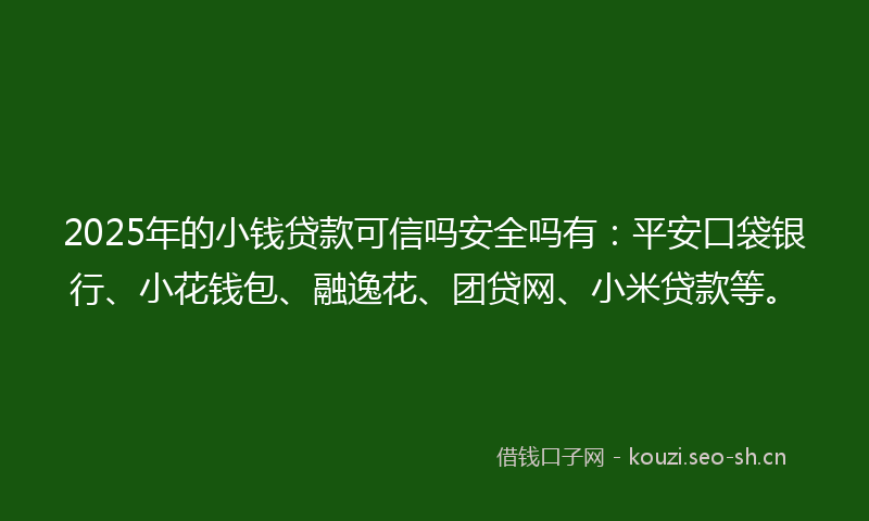 2025年的小钱贷款可信吗安全吗有：平安口袋银行、小花钱包、融逸花、团贷网、小米贷款等。