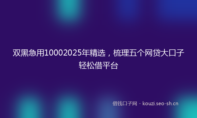 双黑急用10002025年精选，梳理五个网贷大口子轻松借平台