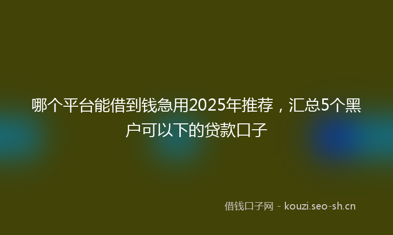 哪个平台能借到钱急用2025年推荐，汇总5个黑户可以下的贷款口子