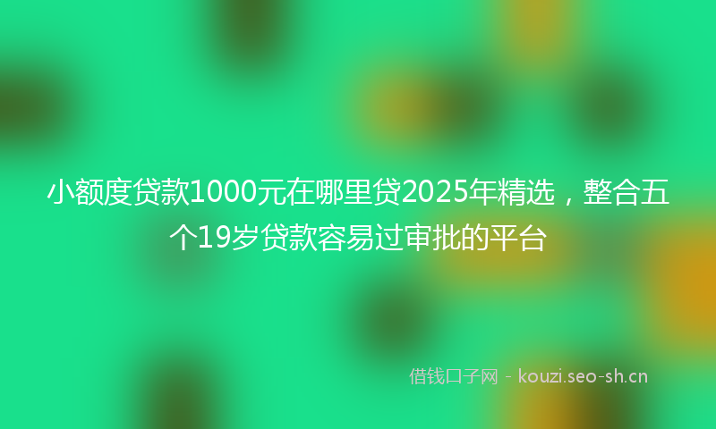 小额度贷款1000元在哪里贷2025年精选，整合五个19岁贷款容易过审批的平台