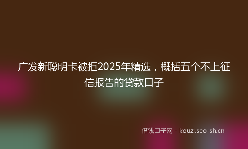 广发新聪明卡被拒2025年精选，概括五个不上征信报告的贷款口子