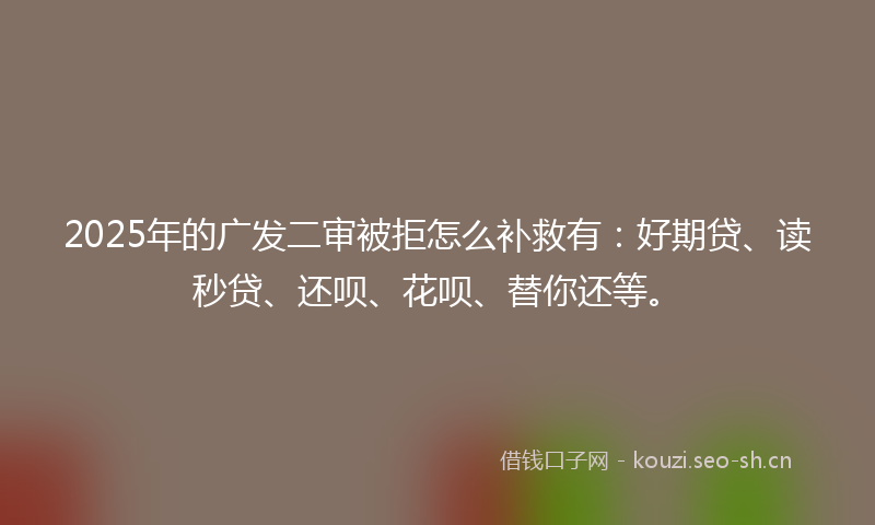 2025年的广发二审被拒怎么补救有：好期贷、读秒贷、还呗、花呗、替你还等。
