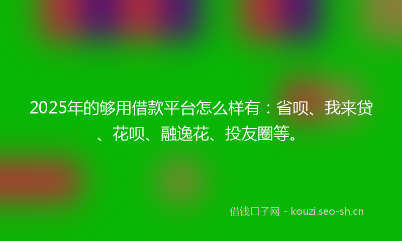 2025年的够用借款平台怎么样有：省呗、我来贷、花呗、融逸花、投友圈等。