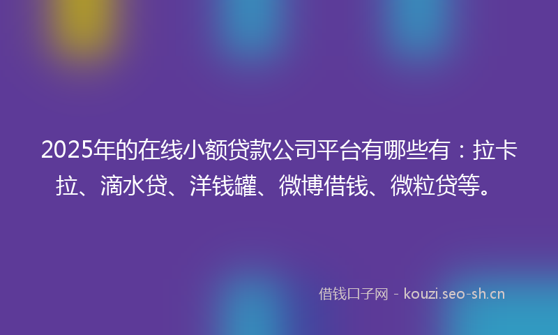 2025年的在线小额贷款公司平台有哪些有：拉卡拉、滴水贷、洋钱罐、微博借钱、微粒贷等。