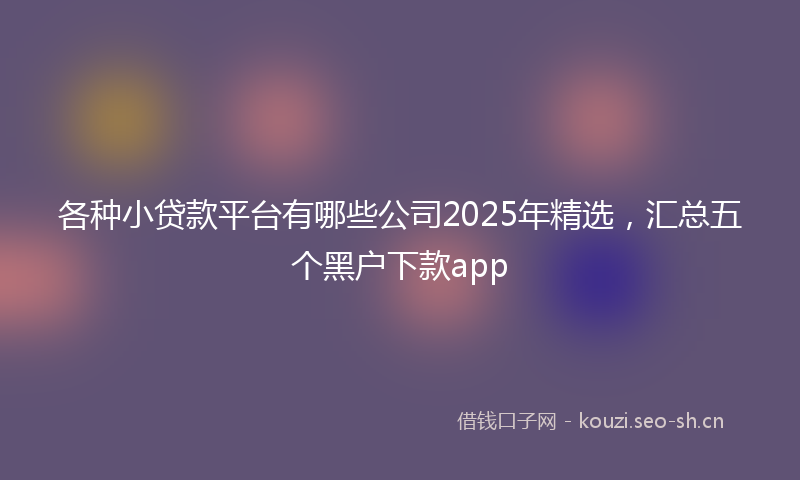 各种小贷款平台有哪些公司2025年精选，汇总五个黑户下款app