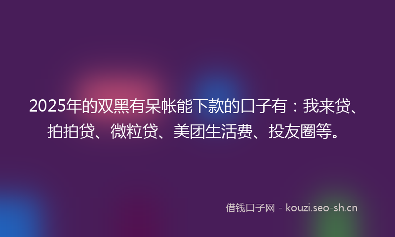 2025年的双黑有呆帐能下款的口子有：我来贷、拍拍贷、微粒贷、美团生活费、投友圈等。