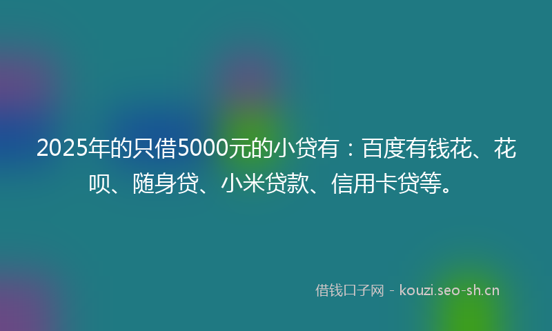 2025年的只借5000元的小贷有：百度有钱花、花呗、随身贷、小米贷款、信用卡贷等。