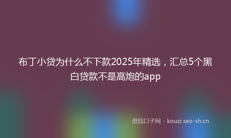 布丁小贷为什么不下款2025年精选，汇总5个黑白贷款不是高炮的app