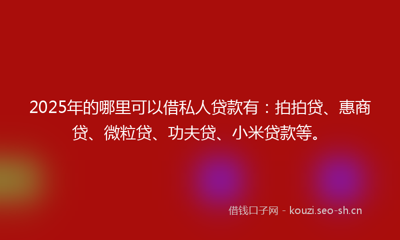 2025年的哪里可以借私人贷款有：拍拍贷、惠商贷、微粒贷、功夫贷、小米贷款等。