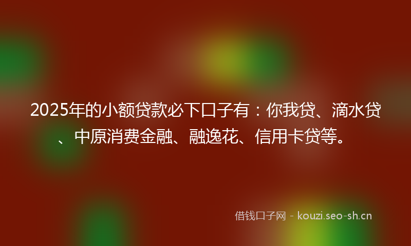 2025年的小额贷款必下口子有:你我贷、滴水贷、中原消费金融、融逸花、信用卡贷等。