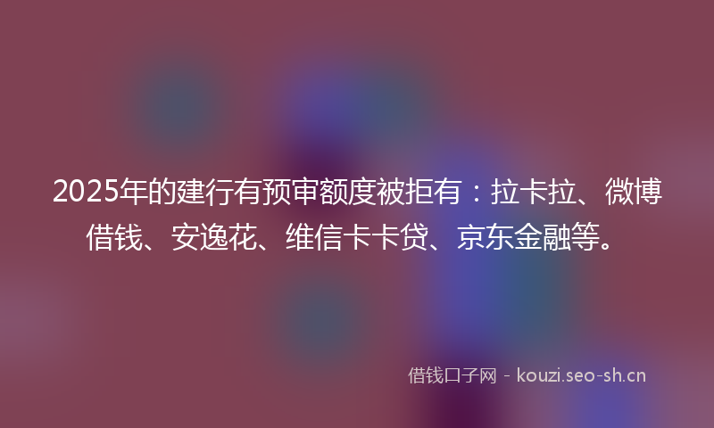 2025年的建行有预审额度被拒有：拉卡拉、微博借钱、安逸花、维信卡卡贷、京东金融等。
