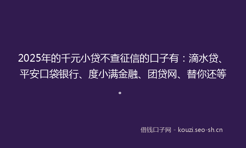 2025年的千元小贷不查征信的口子有：滴水贷、平安口袋银行、度小满金融、团贷网、替你还等。