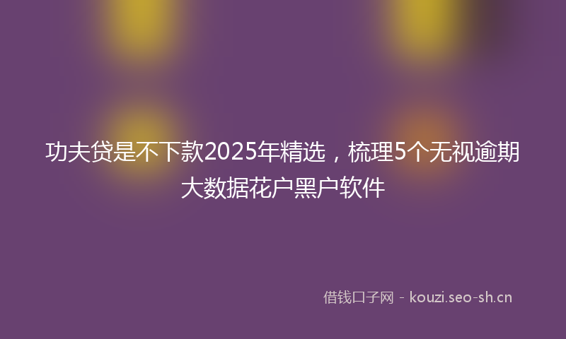 功夫贷是不下款2025年精选，梳理5个无视逾期大数据花户黑户软件