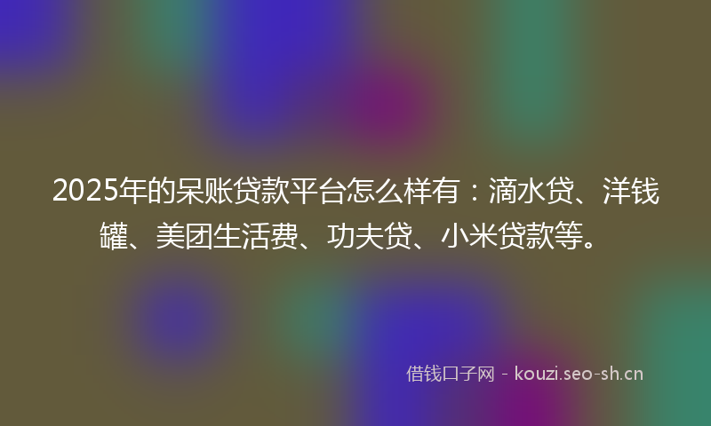 2025年的呆账贷款平台怎么样有：滴水贷、洋钱罐、美团生活费、功夫贷、小米贷款等。