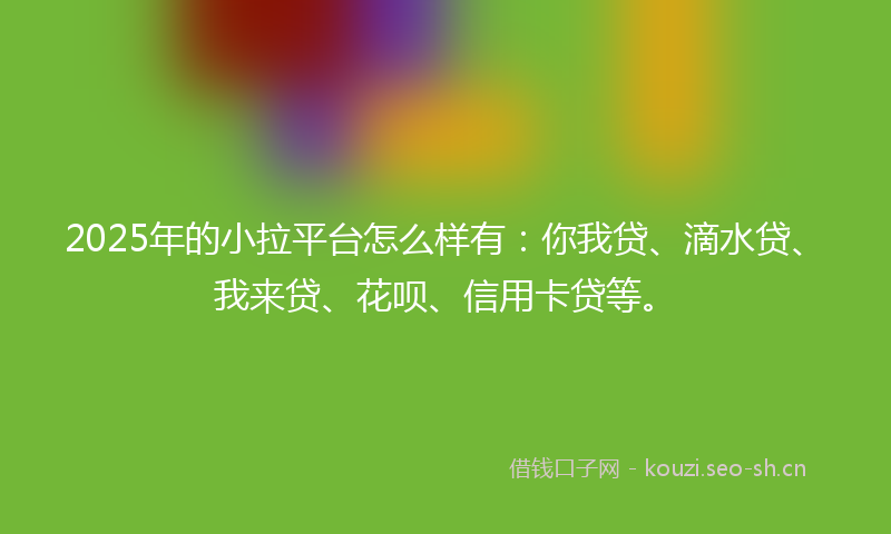 2025年的小拉平台怎么样有：你我贷、滴水贷、我来贷、花呗、信用卡贷等。