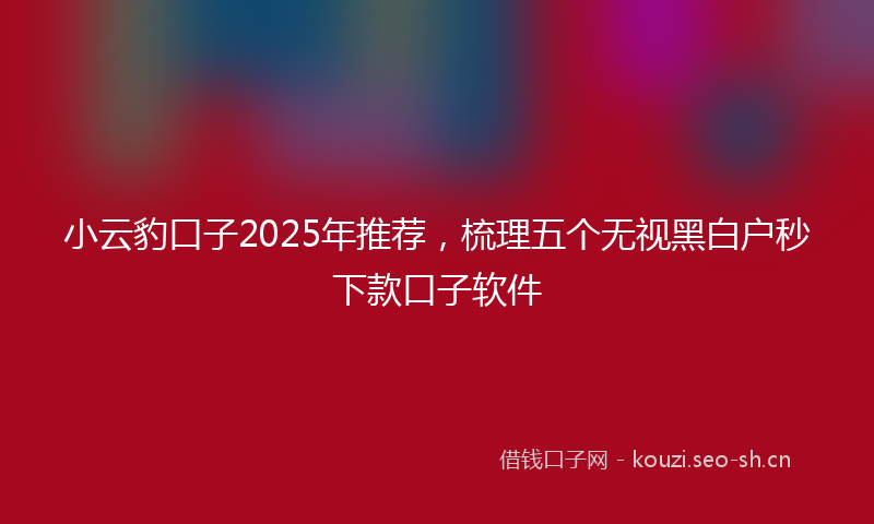 小云豹口子2025年推荐，梳理五个无视黑白户秒下款口子软件
