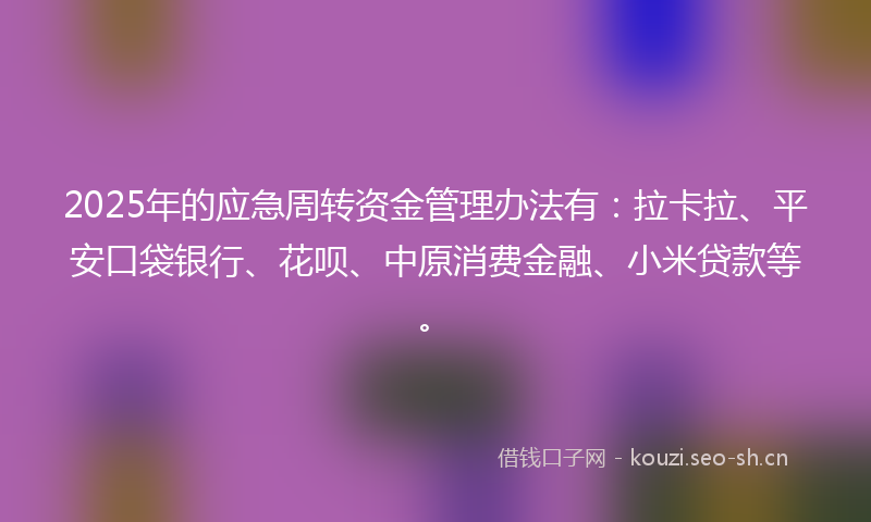2025年的应急周转资金管理办法有：拉卡拉、平安口袋银行、花呗、中原消费金融、小米贷款等。