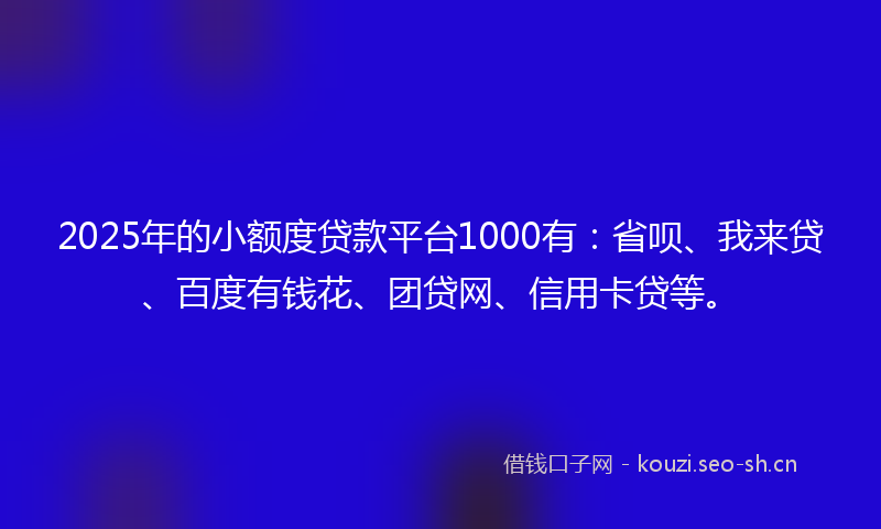 2025年的小额度贷款平台1000有：省呗、我来贷、百度有钱花、团贷网、信用卡贷等。