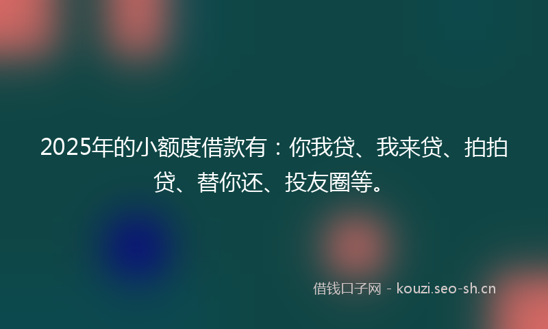 2025年的小额度借款有：你我贷、我来贷、拍拍贷、替你还、投友圈等。