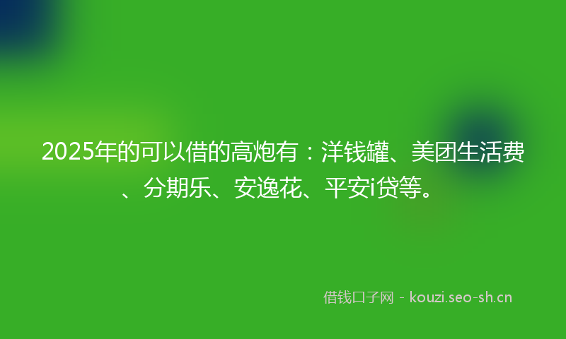 2025年的可以借的高炮有:洋钱罐、美团生活费、分期乐、安逸花、平安i贷等。