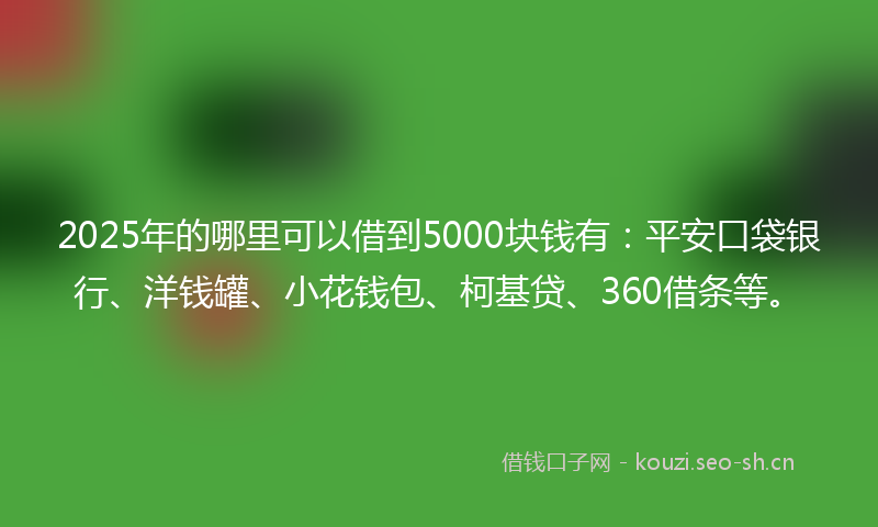 2025年的哪里可以借到5000块钱有:平安口袋银行、洋钱罐、小花钱包、柯基贷、360借条等。
