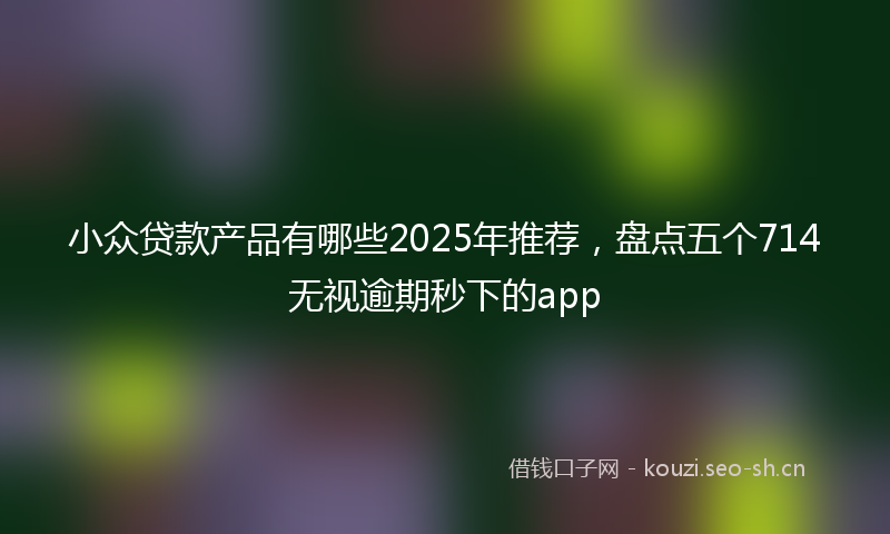 小众贷款产品有哪些2025年推荐，盘点五个714无视逾期秒下的app