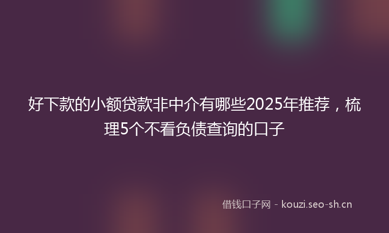 好下款的小额贷款非中介有哪些2025年推荐，梳理5个不看负债查询的口子