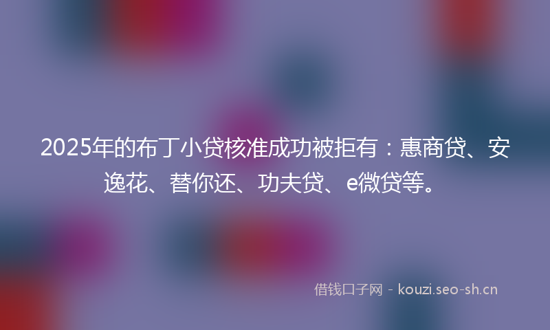 2025年的布丁小贷核准成功被拒有:惠商贷、安逸花、替你还、功夫贷、e微贷等。