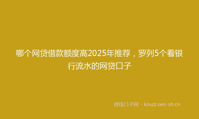 哪个网贷借款额度高2025年推荐，罗列5个看银行流水的网贷口子