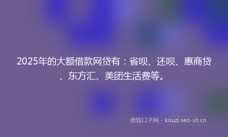 2025年的大额借款网贷有：省呗、还呗、惠商贷、东方汇、美团生活费等。