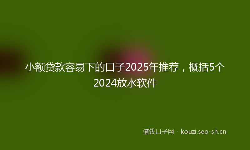 小额贷款容易下的口子2025年推荐，概括5个2024放水软件