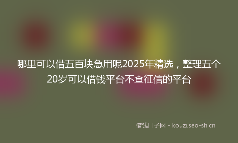 哪里可以借五百块急用呢2025年精选,整理五个20岁可以借钱平台不查征信的平台